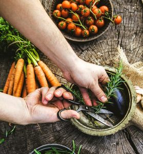 eat your veggies with soy steak